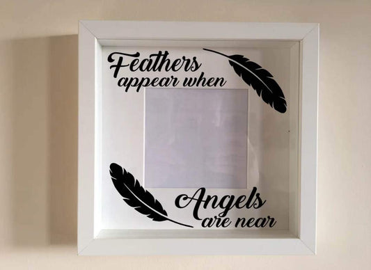 Feathers appear frame